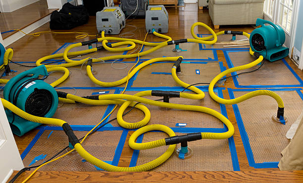 Professional Water Damage Repair technician working in Weaverville, NC