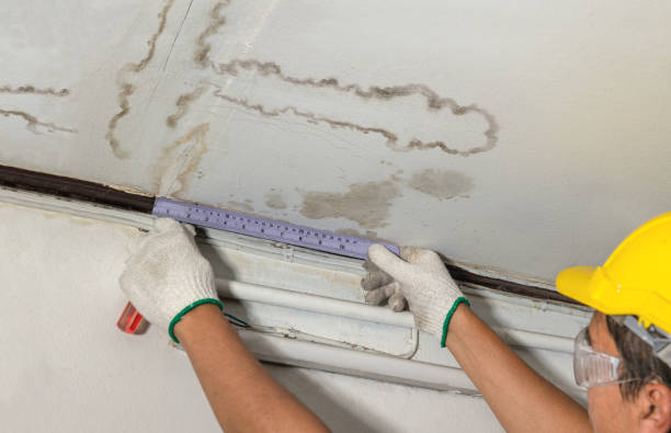 Affordable Water Damage Repair solutions in Weaverville, NC